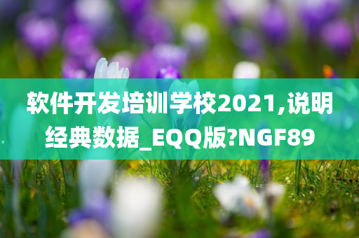 软件开发培训学校2021,说明经典数据_EQQ版?NGF89