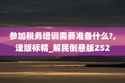 参加税务培训需要准备什么?,速版标精_解民倒悬版ZS2