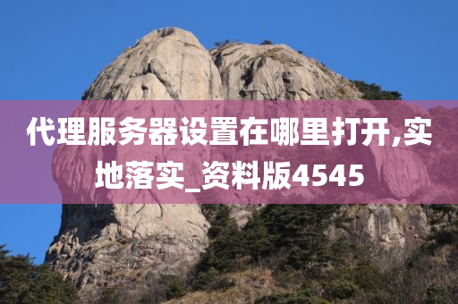 代理服务器设置在哪里打开,实地落实_资料版4545