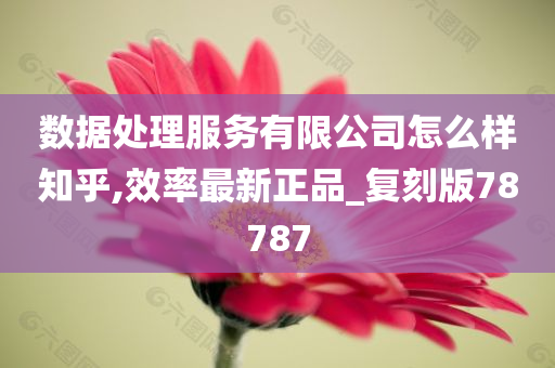 数据处理服务有限公司怎么样知乎,效率最新正品_复刻版78787