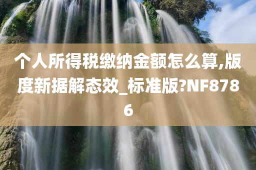 个人所得税缴纳金额怎么算,版度新据解态效_标准版?NF8786