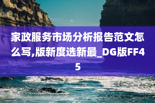 家政服务市场分析报告范文怎么写,版新度选新最_DG版FF45