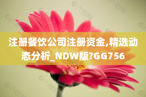 注册餐饮公司注册资金,精选动态分析_NDW版?GG756