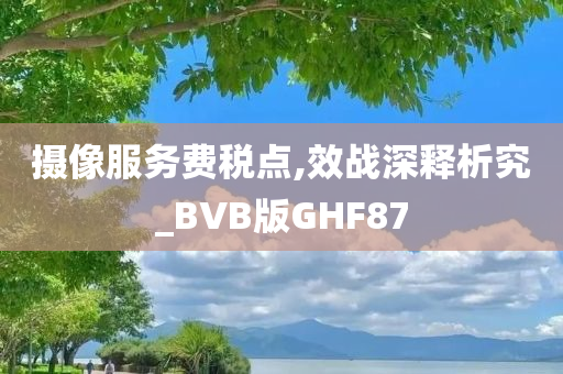 摄像服务费税点,效战深释析究_BVB版GHF87