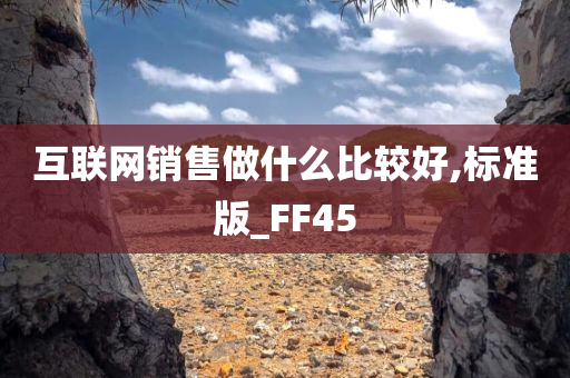 互联网销售做什么比较好,标准版_FF45