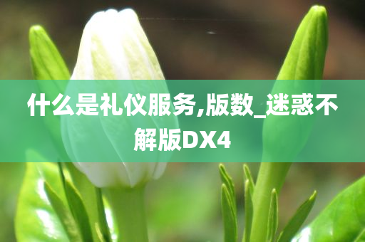 什么是礼仪服务,版数_迷惑不解版DX4