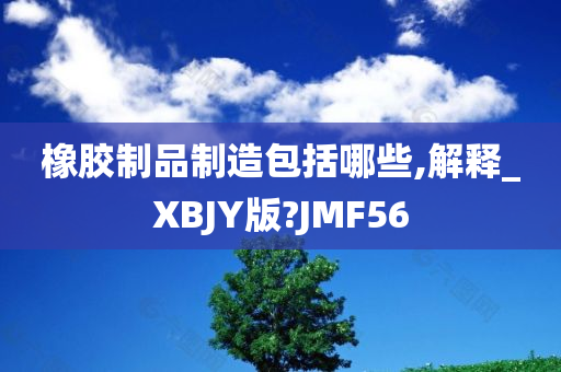 橡胶制品制造包括哪些,解释_XBJY版?JMF56