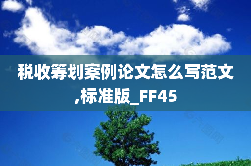 税收筹划案例论文怎么写范文,标准版_FF45