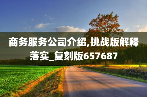 商务服务公司介绍,挑战版解释落实_复刻版657687