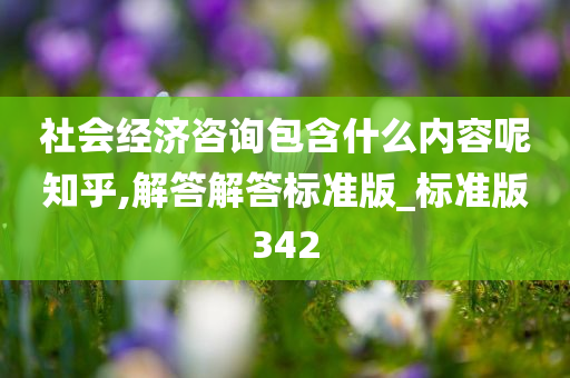 社会经济咨询包含什么内容呢知乎,解答解答标准版_标准版342