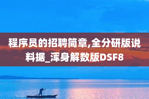 程序员的招聘简章,全分研版说料据_浑身解数版DSF8