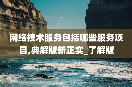 网络技术服务包括哪些服务项目,典解版新正实_了解版