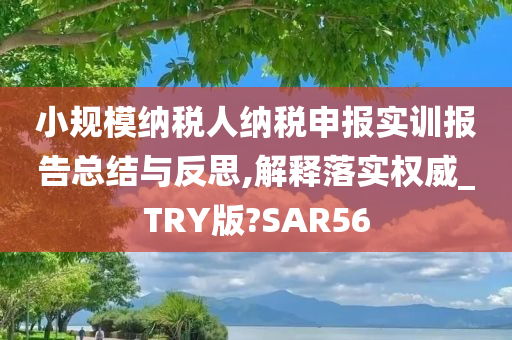 小规模纳税人纳税申报实训报告总结与反思,解释落实权威_TRY版?SAR56