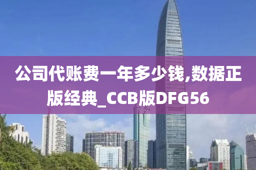 公司代账费一年多少钱,数据正版经典_CCB版DFG56