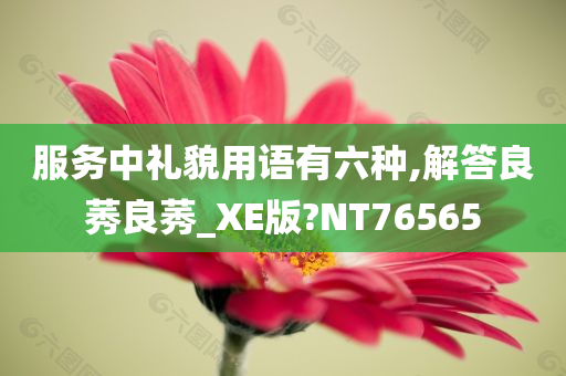 服务中礼貌用语有六种,解答良莠良莠_XE版?NT76565