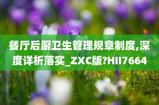 餐厅后厨卫生管理规章制度,深度详析落实_ZXC版?HII7664