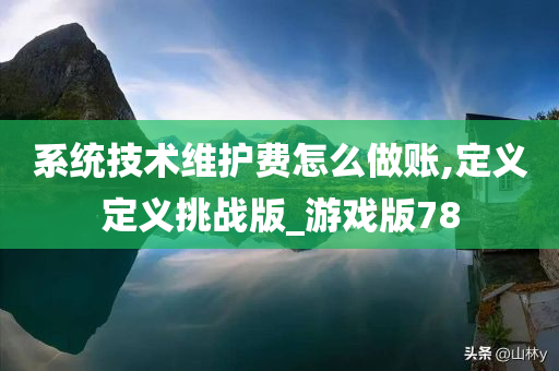 系统技术维护费怎么做账,定义定义挑战版_游戏版78