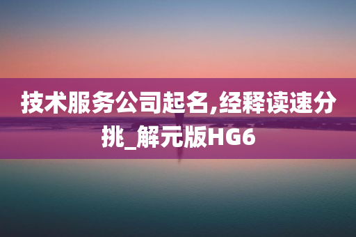 技术服务公司起名,经释读速分挑_解元版HG6