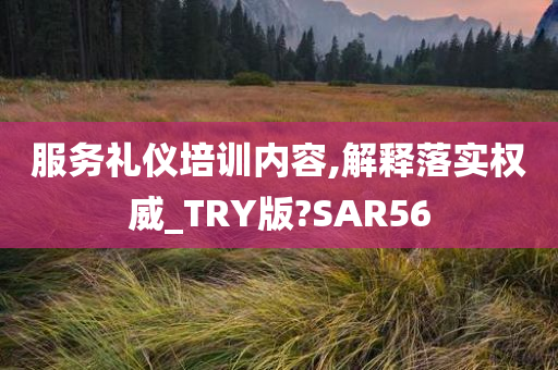 服务礼仪培训内容,解释落实权威_TRY版?SAR56