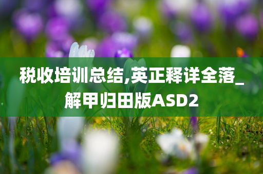 税收培训总结,英正释详全落_解甲归田版ASD2