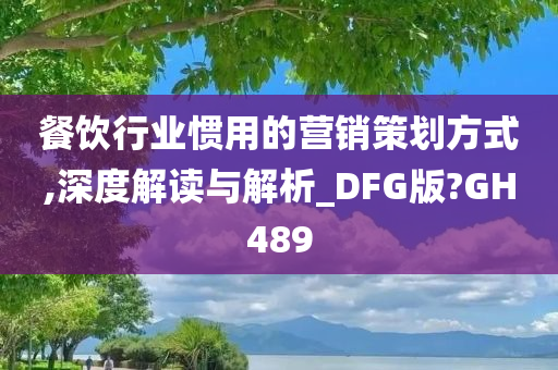 餐饮行业惯用的营销策划方式,深度解读与解析_DFG版?GH489