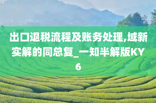 出口退税流程及账务处理,域新实解的同总复_一知半解版KY6