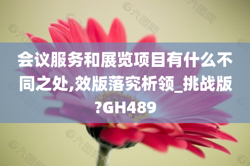 会议服务和展览项目有什么不同之处,效版落究析领_挑战版?GH489