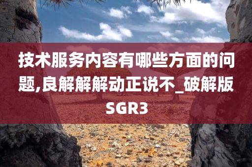 技术服务内容有哪些方面的问题,良解解解动正说不_破解版SGR3