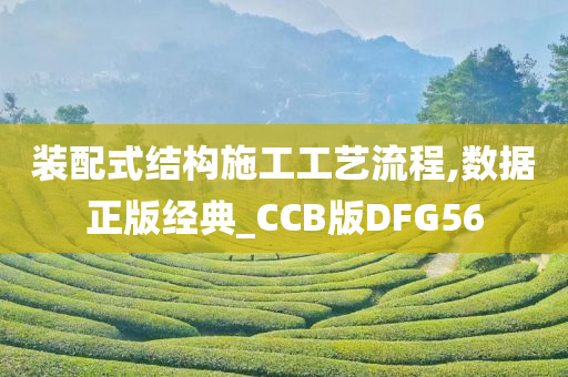 装配式结构施工工艺流程,数据正版经典_CCB版DFG56