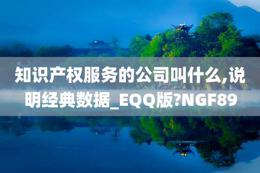 知识产权服务的公司叫什么,说明经典数据_EQQ版?NGF89