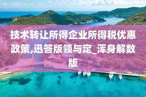 技术转让所得企业所得税优惠政策,迅答版领与定_浑身解数版