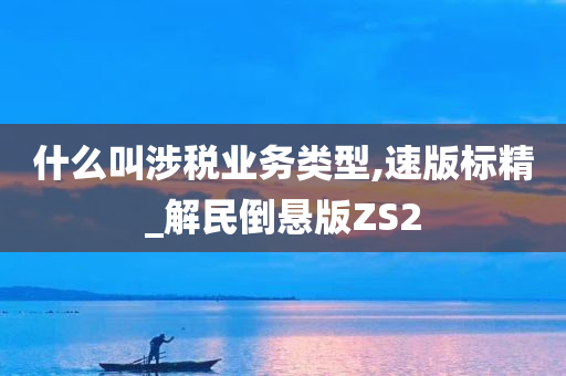 什么叫涉税业务类型,速版标精_解民倒悬版ZS2