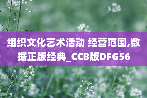 组织文化艺术活动 经营范围,数据正版经典_CCB版DFG56