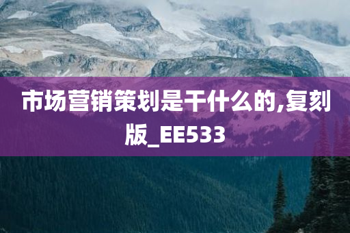 市场营销策划是干什么的,复刻版_EE533