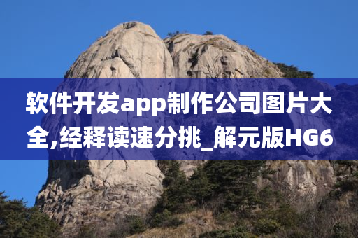 软件开发app制作公司图片大全,经释读速分挑_解元版HG6