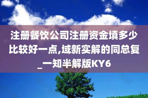 注册餐饮公司注册资金填多少比较好一点,域新实解的同总复_一知半解版KY6