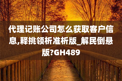 代理记账公司怎么获取客户信息,释挑领析准析版_解民倒悬版?GH489