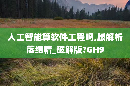 人工智能算软件工程吗,版解析落结精_破解版?GH9