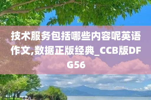 技术服务包括哪些内容呢英语作文,数据正版经典_CCB版DFG56