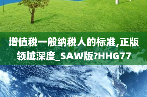 增值税一般纳税人的标准,正版领域深度_SAW版?HHG77