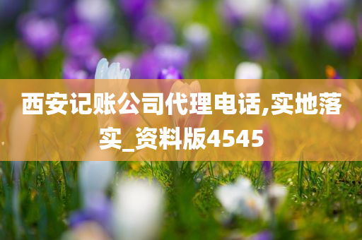 西安记账公司代理电话,实地落实_资料版4545