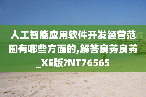 人工智能应用软件开发经营范围有哪些方面的,解答良莠良莠_XE版?NT76565