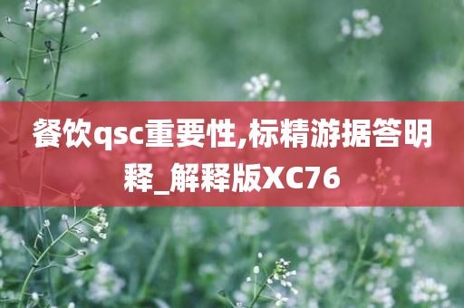 餐饮qsc重要性,标精游据答明释_解释版XC76