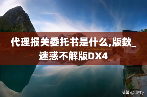 代理报关委托书是什么,版数_迷惑不解版DX4