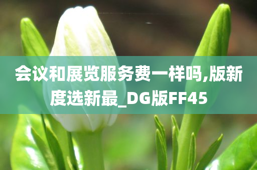 会议和展览服务费一样吗,版新度选新最_DG版FF45