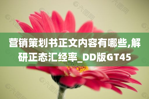 营销策划书正文内容有哪些,解研正态汇经率_DD版GT45