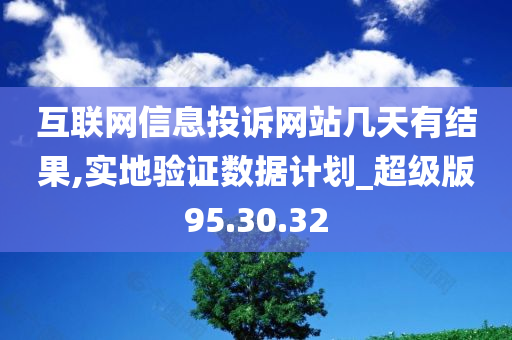 互联网信息投诉网站几天有结果,实地验证数据计划_超级版95.30.32