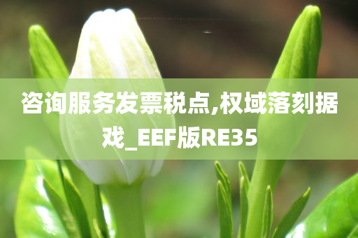 咨询服务发票税点,权域落刻据戏_EEF版RE35