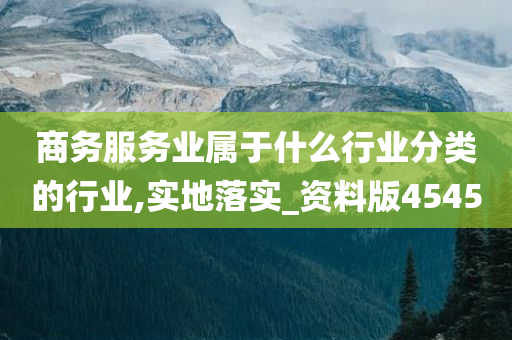 商务服务业属于什么行业分类的行业,实地落实_资料版4545