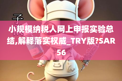 小规模纳税人网上申报实验总结,解释落实权威_TRY版?SAR56